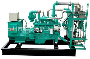 Biogas generator set