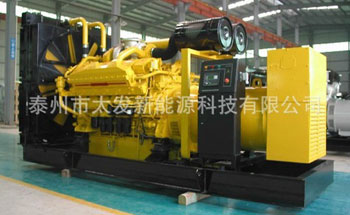 Biomass gas generator set